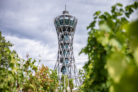 Festival Vinarium_dnevno dogajanje (13)